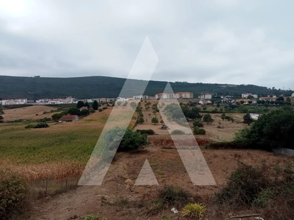 Terreno para Venda em Porto de Mós - São João Baptista e São Pedro Foto 18