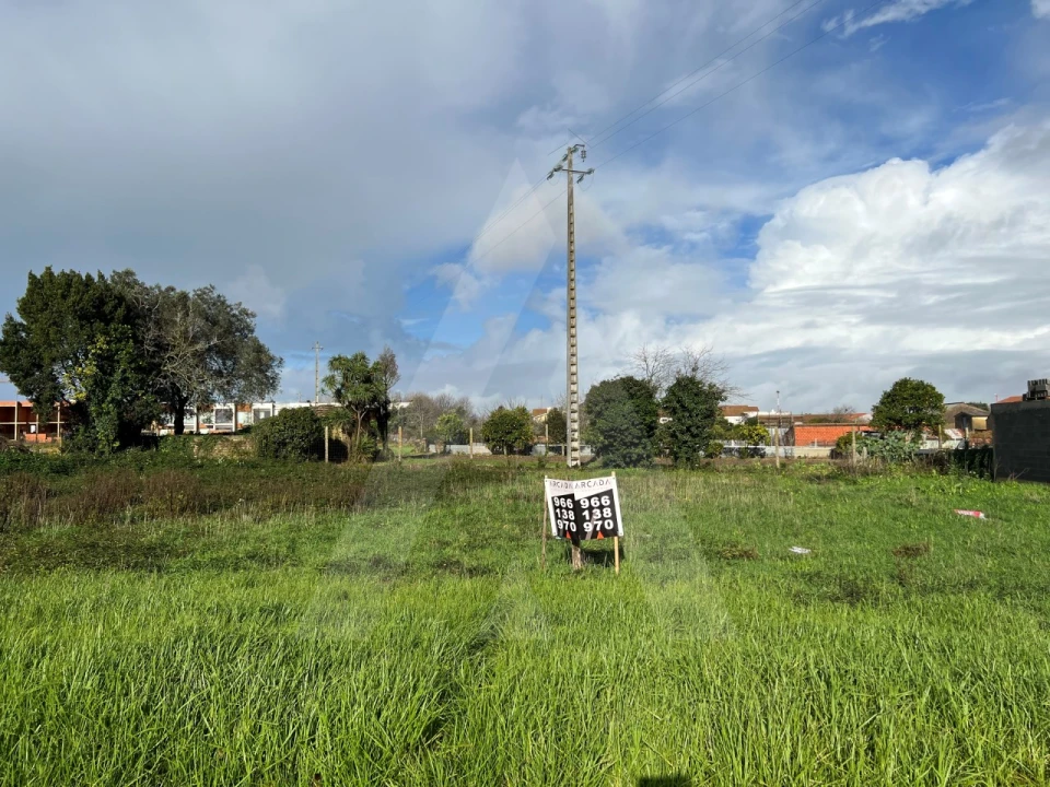 Terreno para Venda em Cacia Foto 5