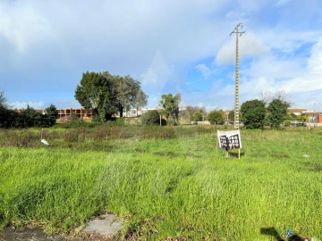 Terreno para Venda em Cacia