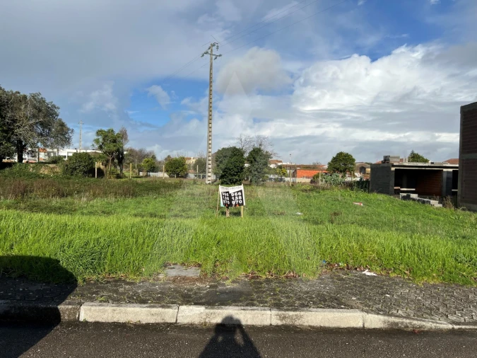 Terreno para Venda em Cacia Foto 4