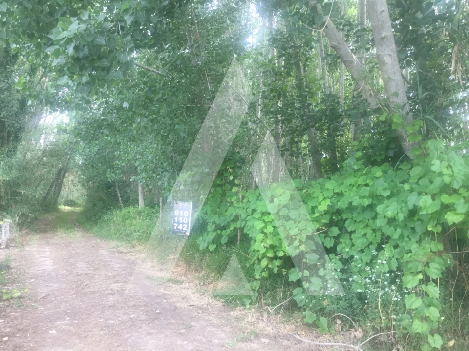 Terreno para Venda em Bustos, Troviscal e Mamarrosa Foto 2