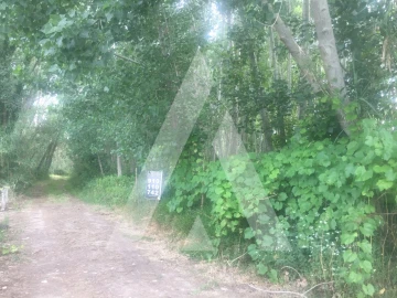 Terreno para Venda em Bustos, Troviscal e Mamarrosa
