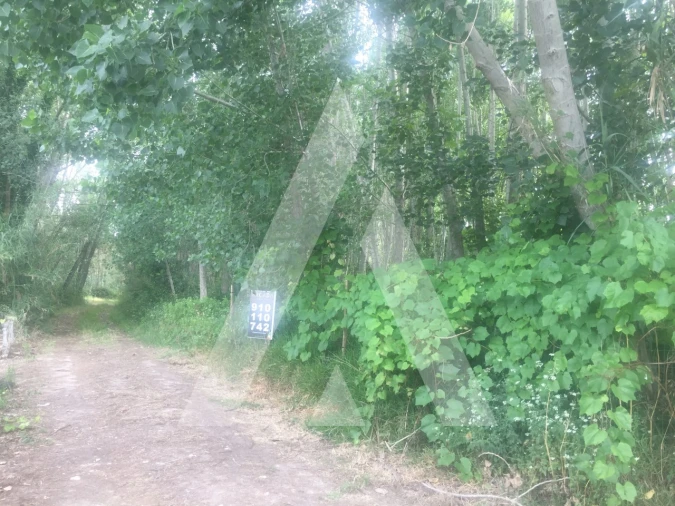 Terreno para Venda em Bustos, Troviscal e Mamarrosa Foto 2