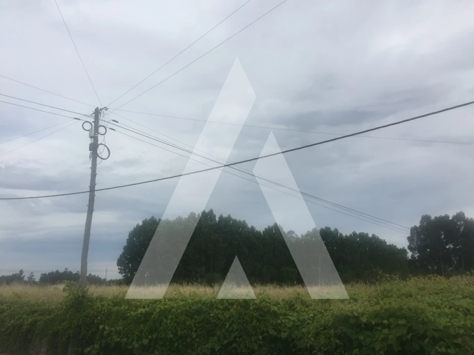 Terreno para Venda em Bustos, Troviscal e Mamarrosa Foto 1