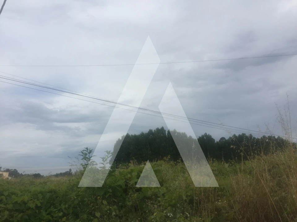 Terreno para Venda em Bustos, Troviscal e Mamarrosa Foto 3