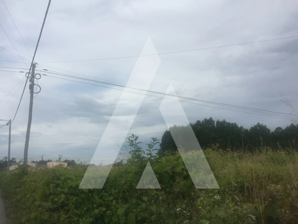 Terreno para Venda em Bustos, Troviscal e Mamarrosa Foto 5