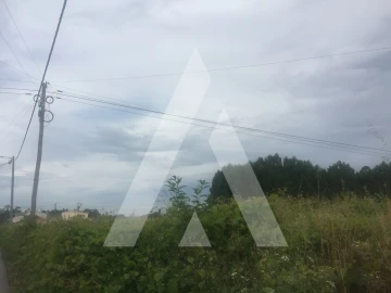 Terreno para Venda em Bustos, Troviscal e Mamarrosa