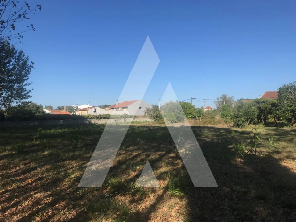 Terreno para Venda em Tamengos, Aguim e Óis do Bairro Foto 1