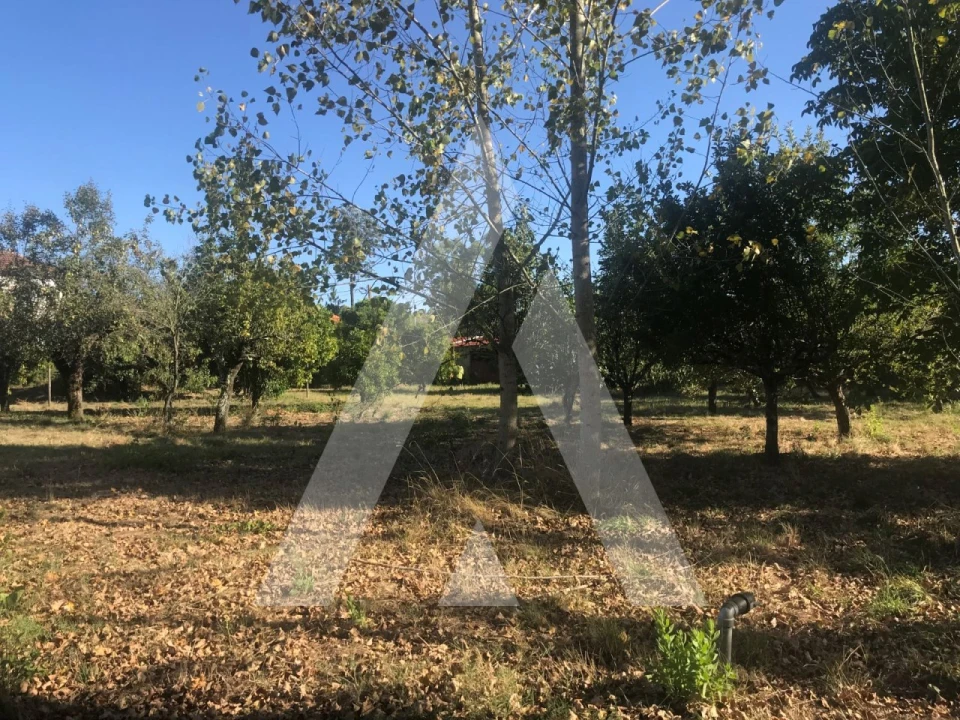 Terreno para Venda em Tamengos, Aguim e Óis do Bairro Foto 2
