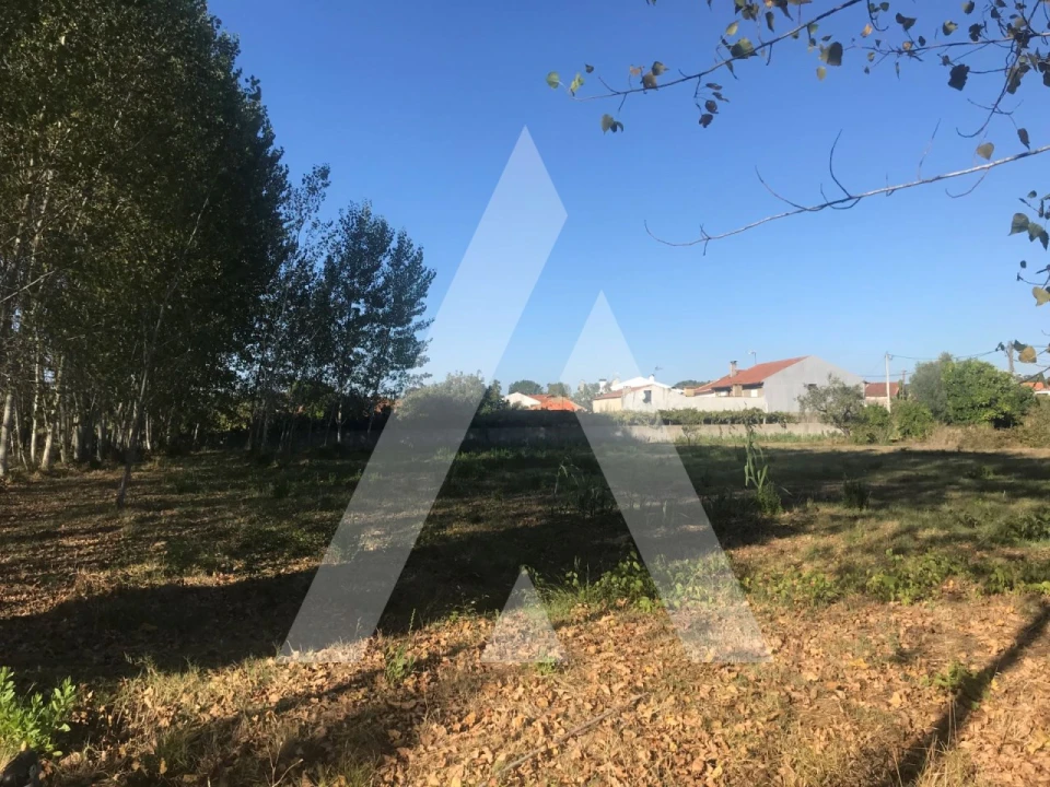 Terreno para Venda em Tamengos, Aguim e Óis do Bairro Foto 3