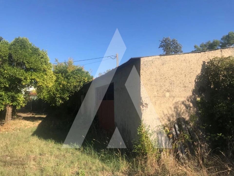 Terreno para Venda em Tamengos, Aguim e Óis do Bairro Foto 5