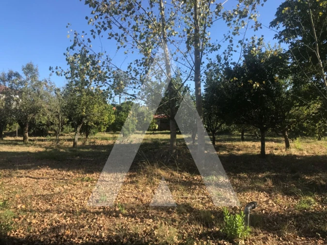 Terreno para Venda em Tamengos, Aguim e Óis do Bairro Foto 2