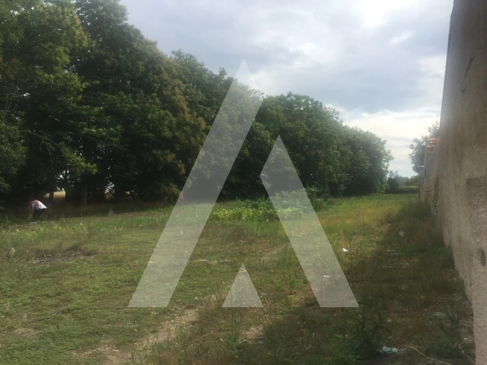 Terreno para Venda em Bustos, Troviscal e Mamarrosa Foto 1