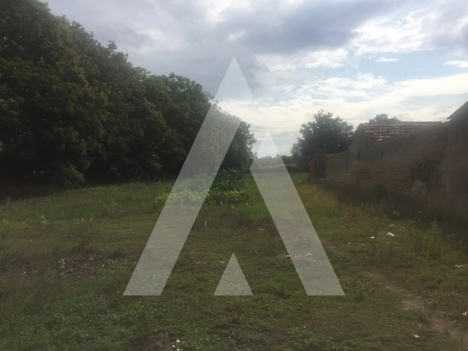 Terreno para Venda em Bustos, Troviscal e Mamarrosa Foto 2