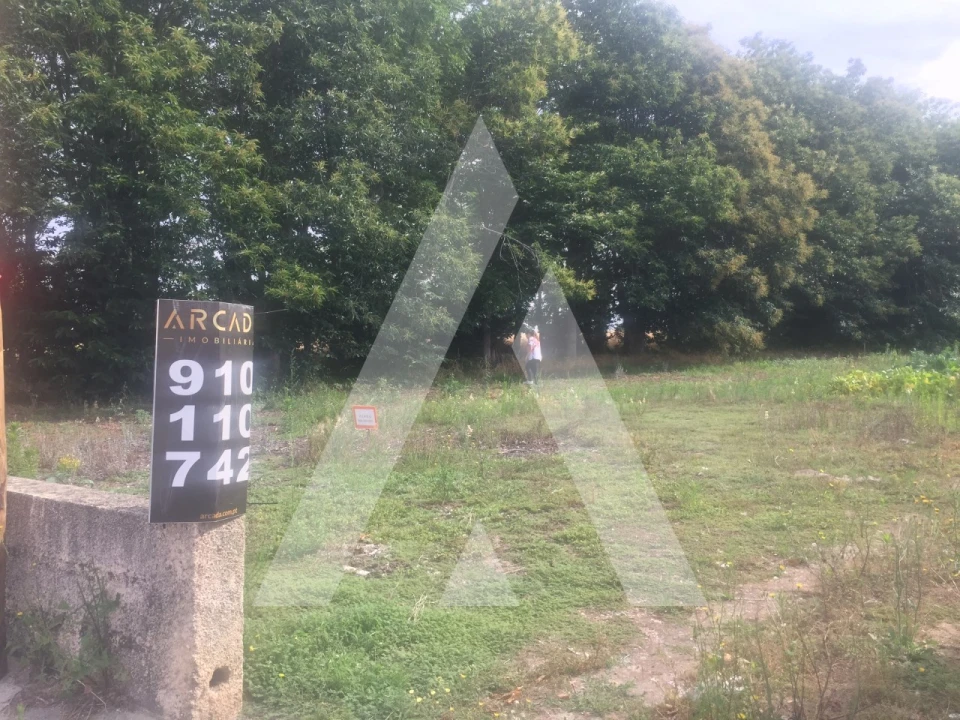 Terreno para Venda em Bustos, Troviscal e Mamarrosa Foto 5