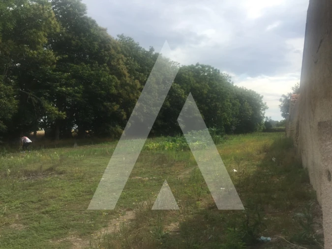 Terreno para Venda em Bustos, Troviscal e Mamarrosa