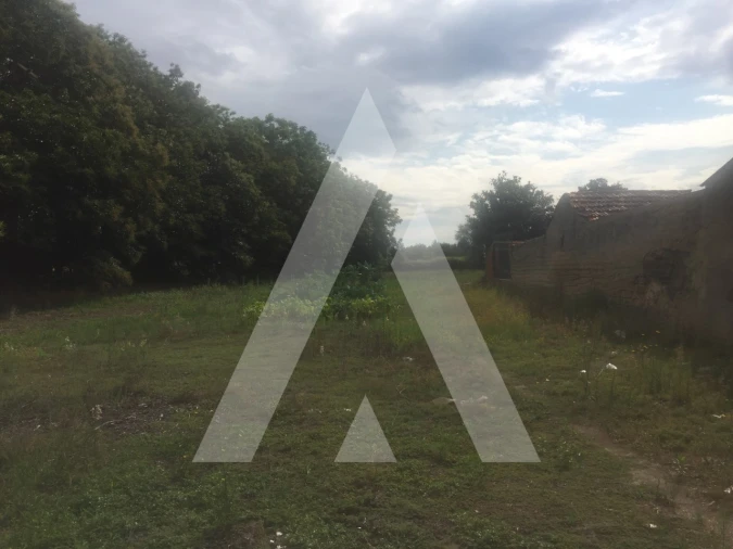 Terreno para Venda em Bustos, Troviscal e Mamarrosa Foto 2