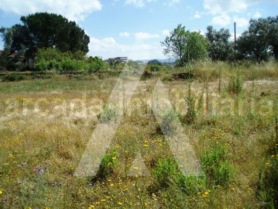 Terreno para Venda em Tamengos, Aguim e Óis do Bairro Foto 4