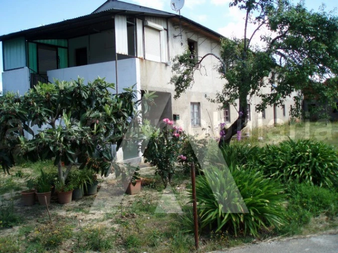 Terreno para Venda em Tamengos, Aguim e Óis do Bairro Foto 2