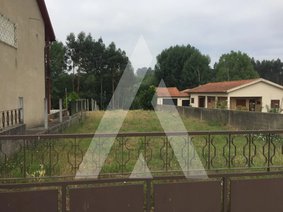 Terreno para Venda em Avelãs de Caminho Foto 1