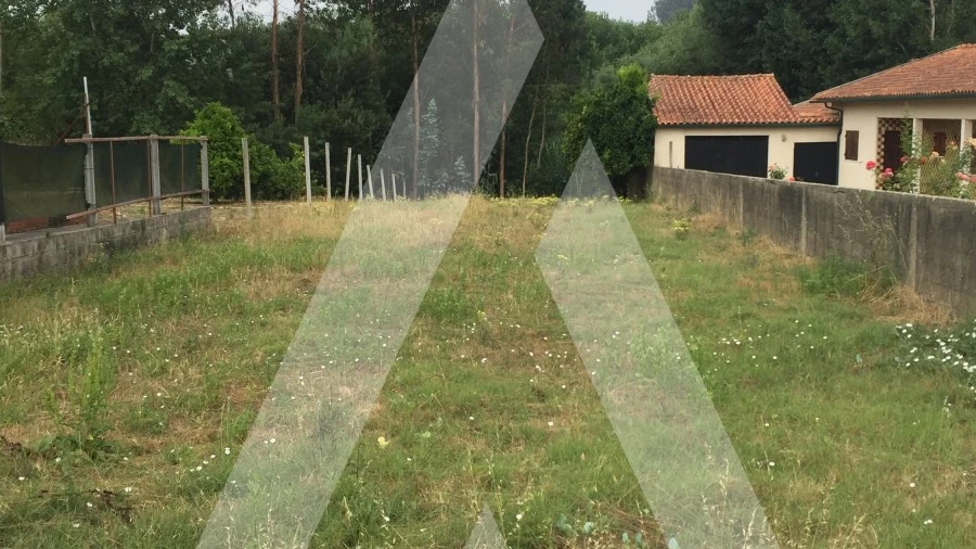 Terreno para Venda em Avelãs de Caminho