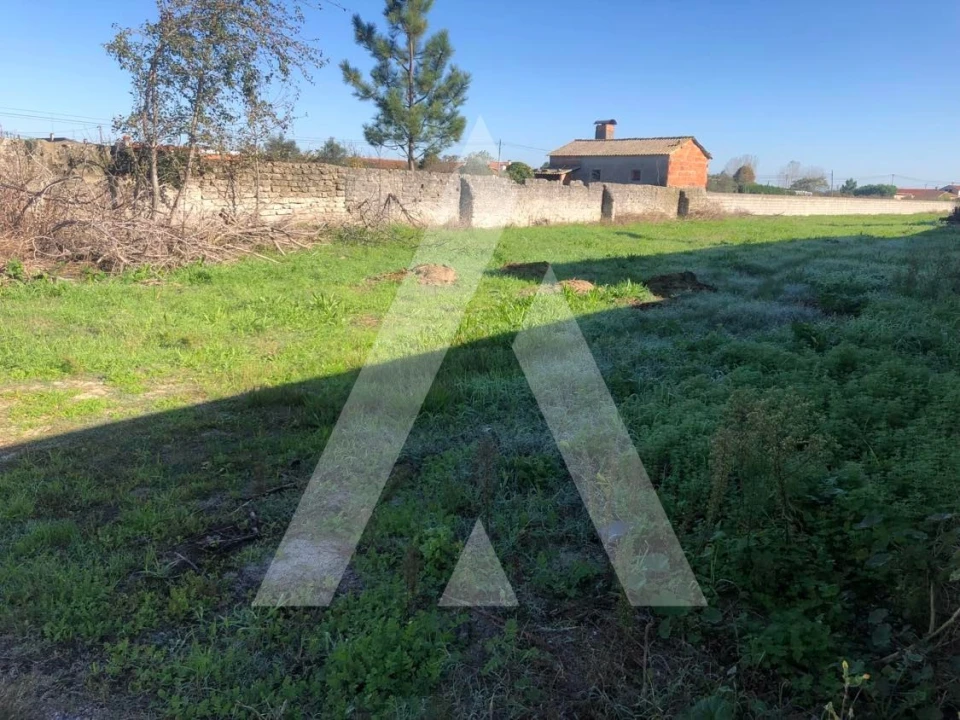 Terreno para Venda em Fonte de Angeão e Covão do Lobo Foto 1