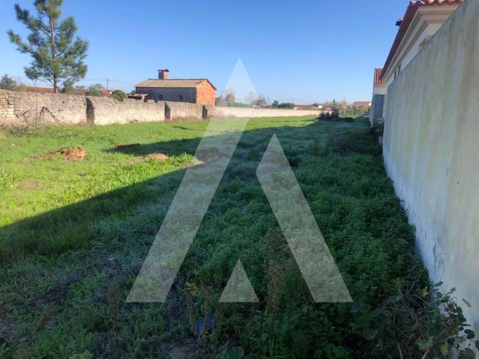 Terreno para Venda em Fonte de Angeão e Covão do Lobo Foto 2