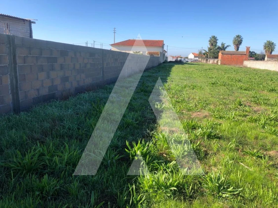 Terreno para Venda em Fonte de Angeão e Covão do Lobo Foto 3