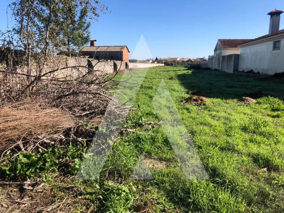 Terreno para Venda em Fonte de Angeão e Covão do Lobo Foto 5