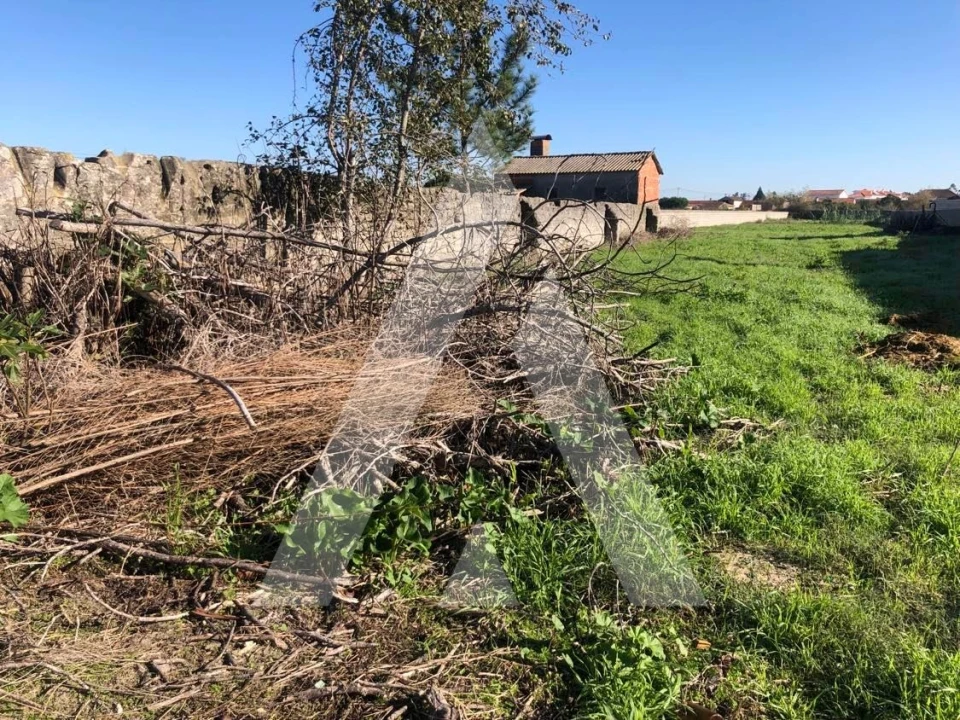 Terreno para Venda em Fonte de Angeão e Covão do Lobo Foto 6