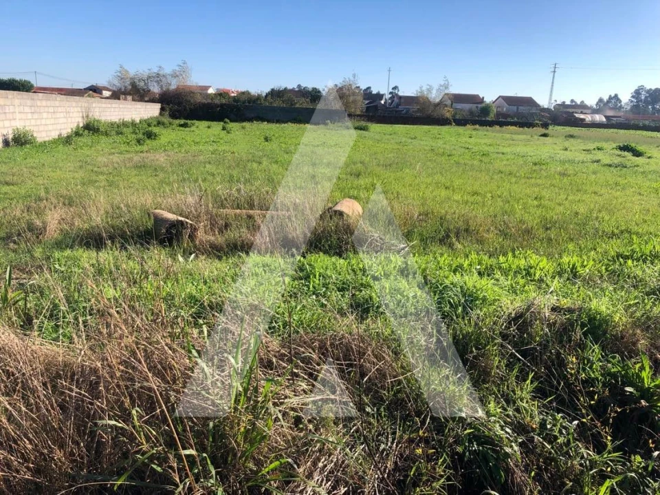 Terreno para Venda em Fonte de Angeão e Covão do Lobo Foto 7