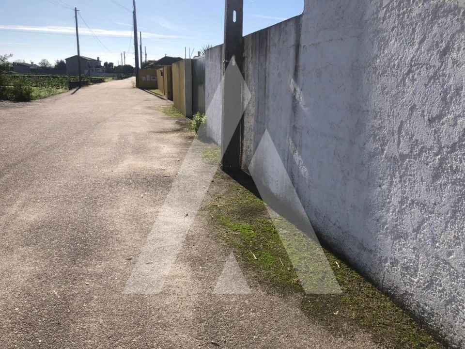 Terreno para Venda em Fonte de Angeão e Covão do Lobo Foto 8
