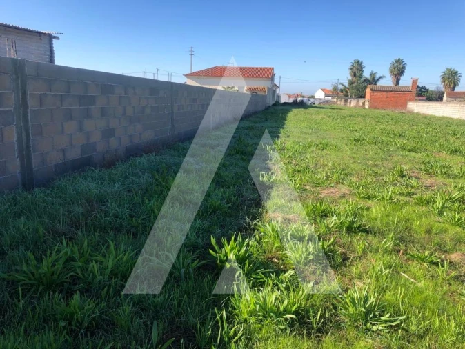 Terreno para Venda em Fonte de Angeão e Covão do Lobo Foto 3