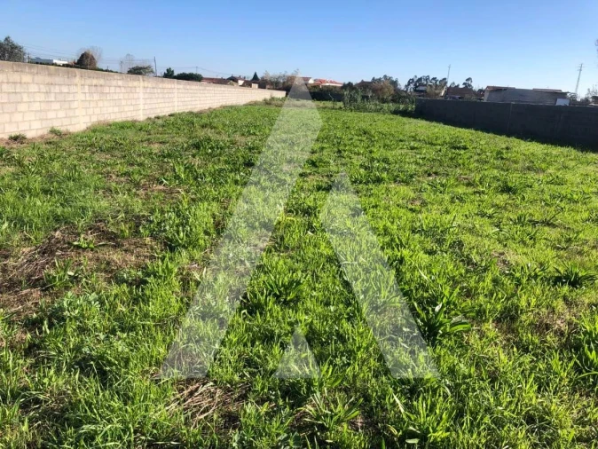 Terreno para Venda em Fonte de Angeão e Covão do Lobo Foto 4
