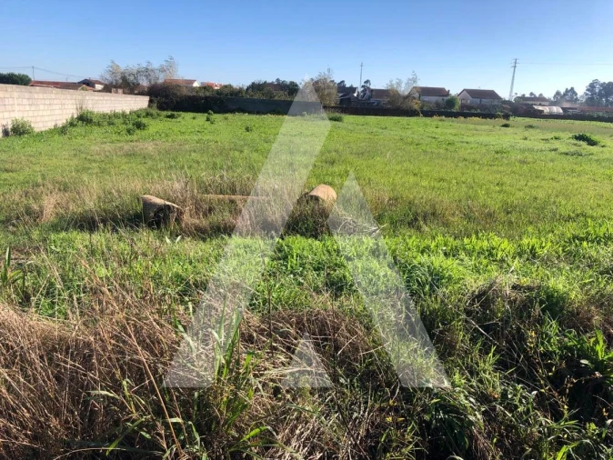 Terreno para Venda em Fonte de Angeão e Covão do Lobo Foto 7