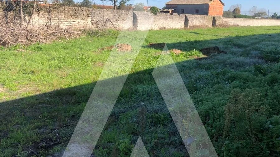 Terreno para Venda em Fonte de Angeão e Covão do Lobo