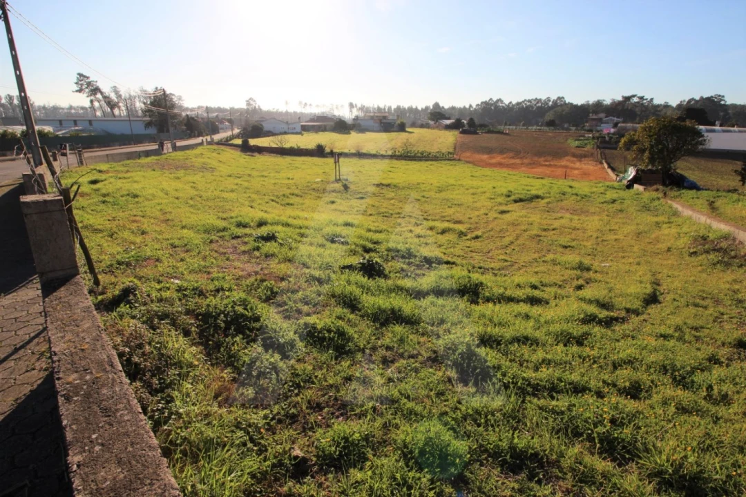 Terreno para Venda em Ouca Foto 7