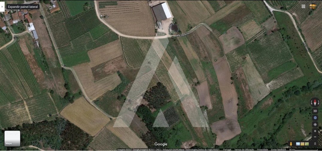 Terreno para Venda em Bustos, Troviscal e Mamarrosa Foto 2