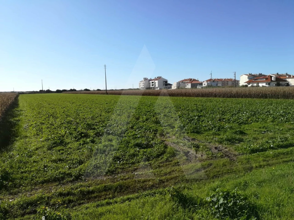 Terreno para Venda em Gafanha da Boa Hora Foto 2