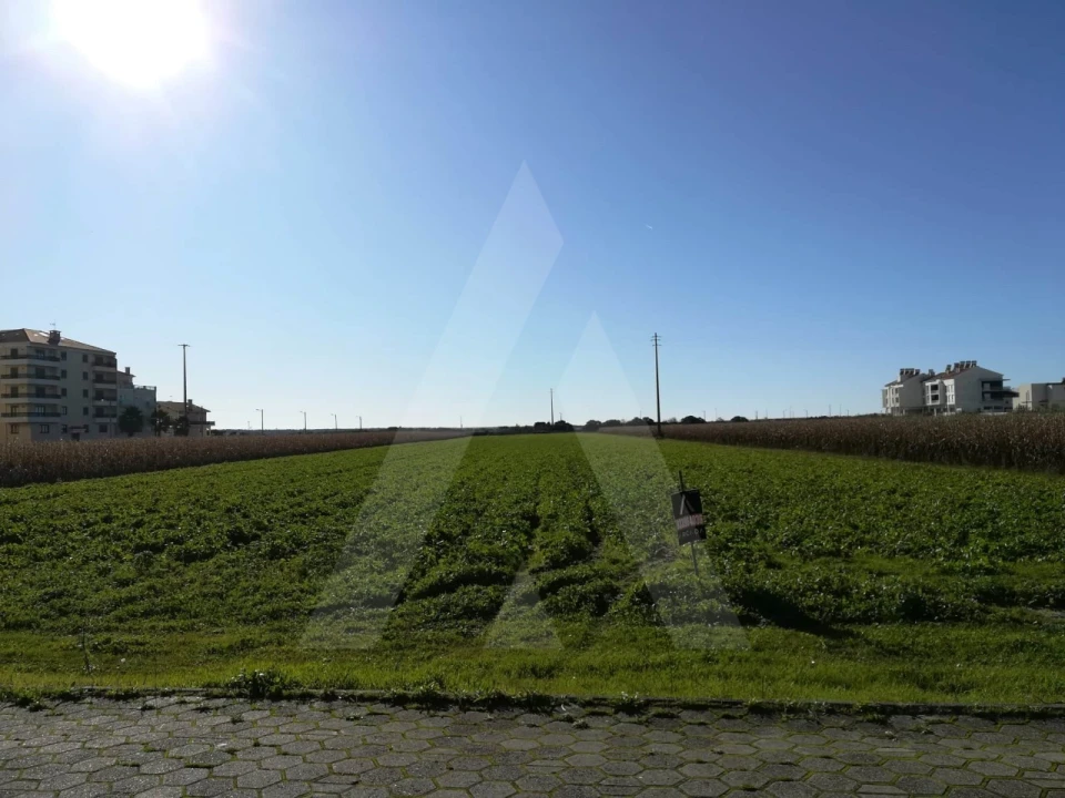 Terreno para Venda em Gafanha da Boa Hora Foto 4