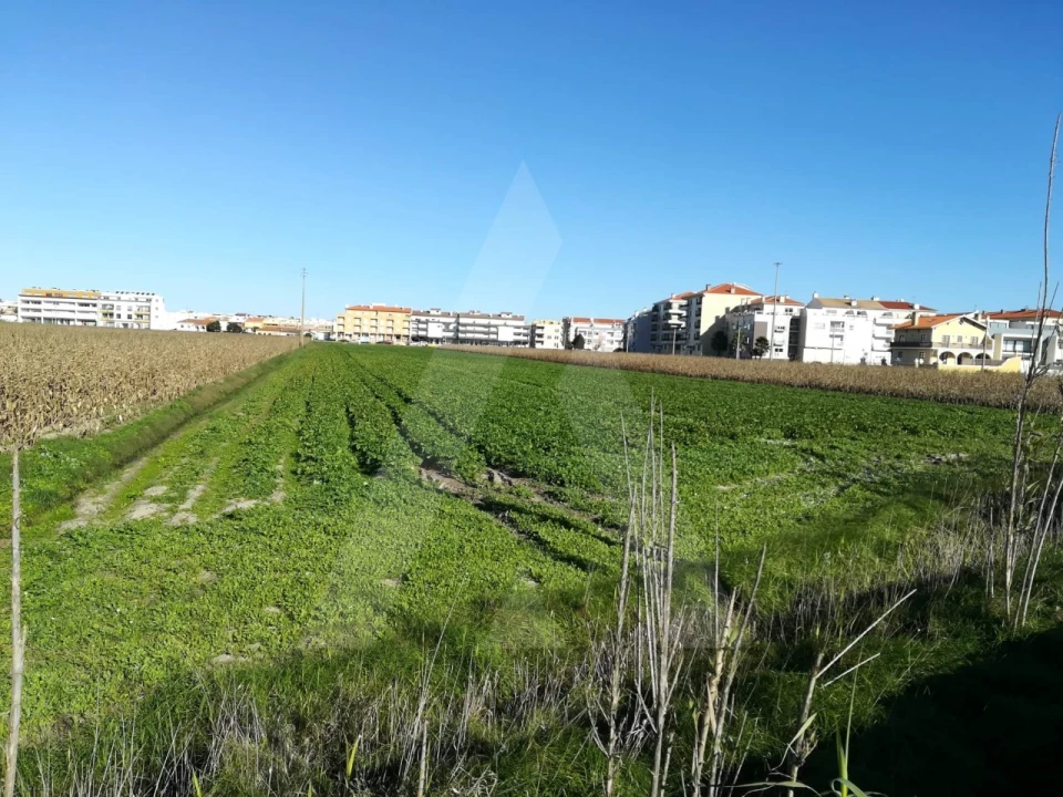 Terreno para Venda em Gafanha da Boa Hora Foto 5