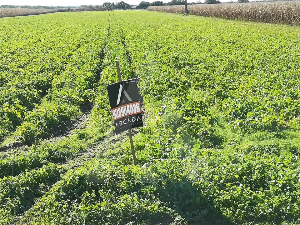 Terreno para Venda em Gafanha da Boa Hora Foto 9