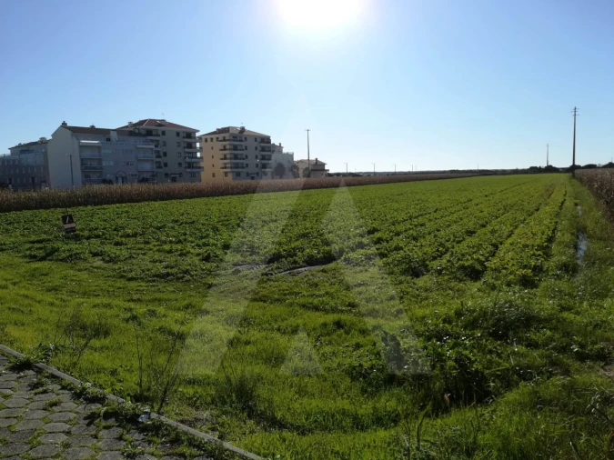 Terreno para Venda em Gafanha da Boa Hora Foto 3
