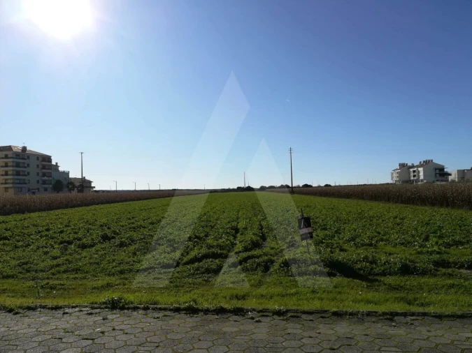 Terreno para Venda em Gafanha da Boa Hora Foto 4