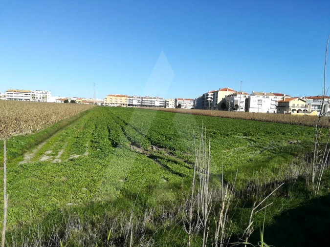 Terreno para Venda em Gafanha da Boa Hora Foto 5