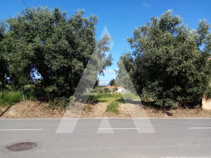 Terreno para Venda em Vilarinho do Bairro Foto 3