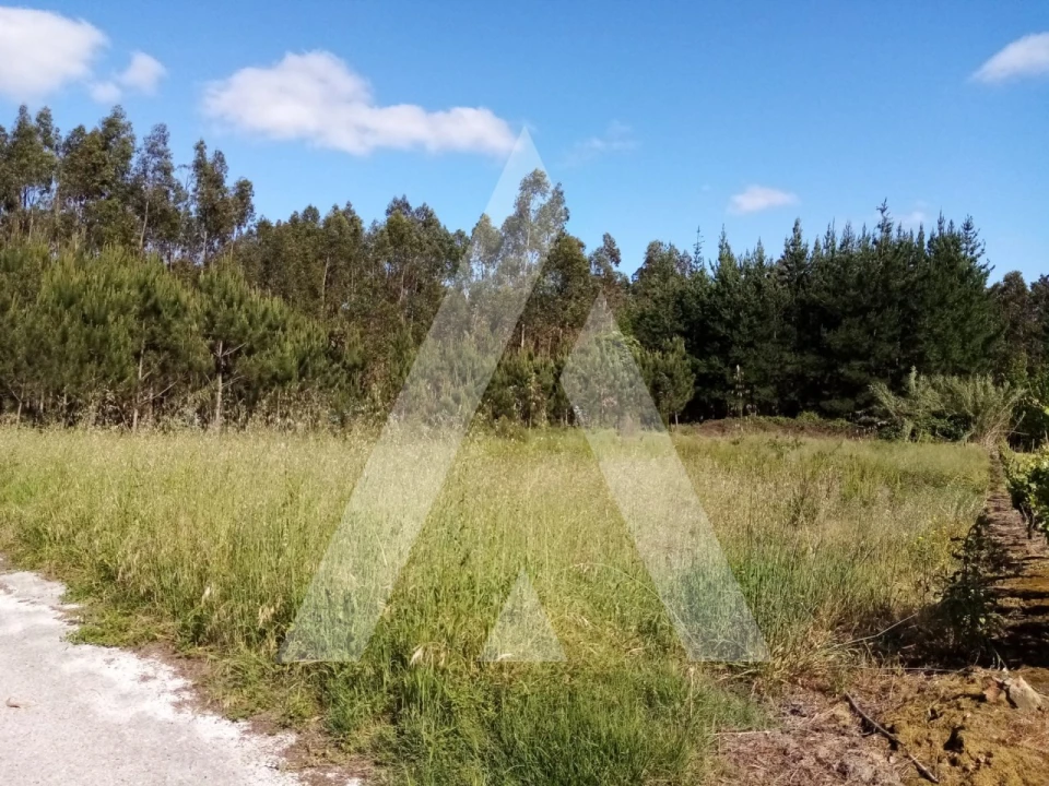 Terreno para Venda em Vilarinho do Bairro Foto 5