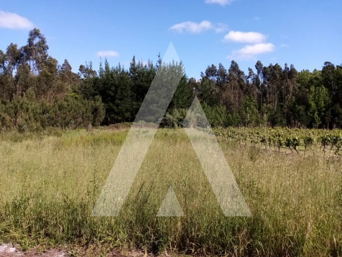 Terreno para Venda em Vilarinho do Bairro Foto 1