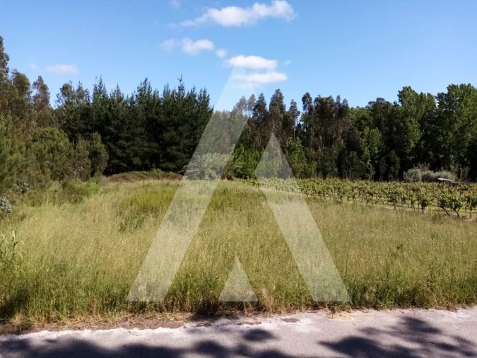 Terreno para Venda em Vilarinho do Bairro Foto 2