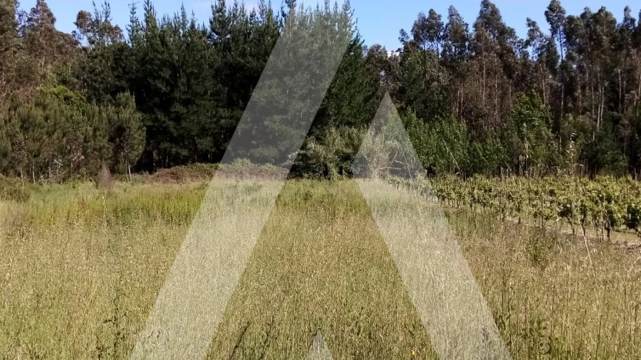 Terreno para Venda em Vilarinho do Bairro